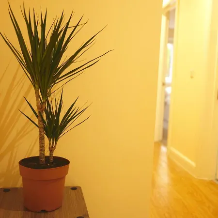 Apartment City Centre 363b